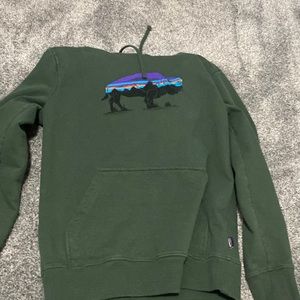 Patagonia sweatshirt